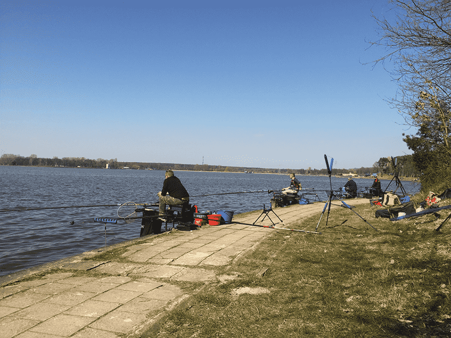 Соревнования по спортивной рыбалке